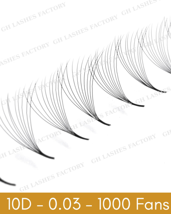 Lash Tray - Hình ảnh 2