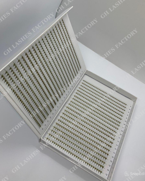 Lash Tray