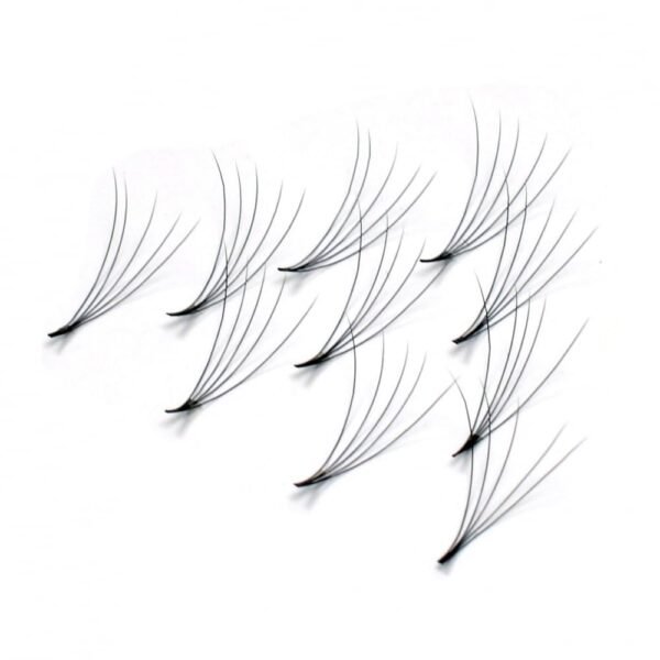 Lash Tray - Hình ảnh 3