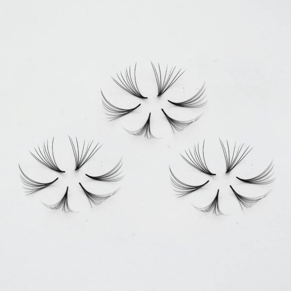 3D–10D Lash Wheel – Loose fan / Mix size - Hình ảnh 2