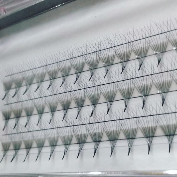 9D – Rapid Promade Fans – 1000 Fans - Hình ảnh 4