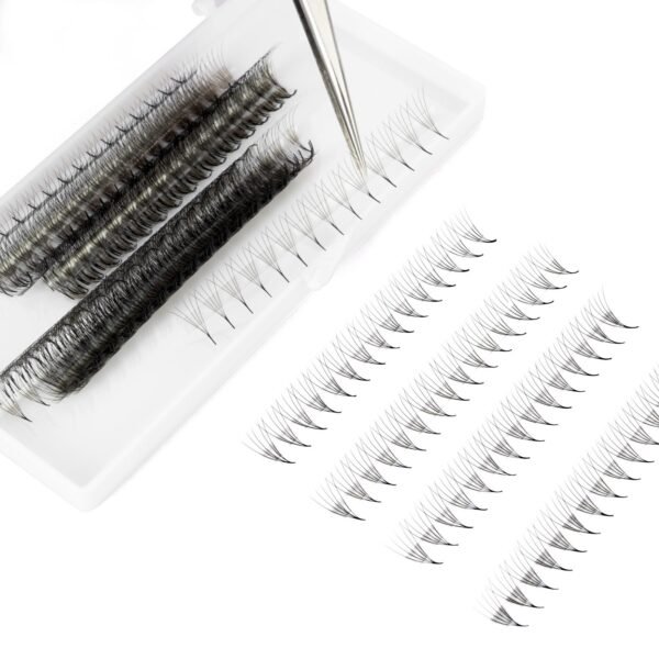 9D – Rapid Promade Fans – 1000 Fans
