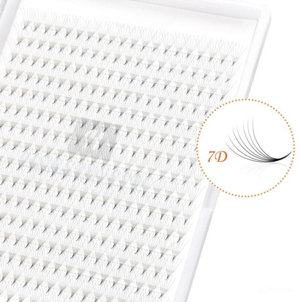 Lash Tray - Hình ảnh 4