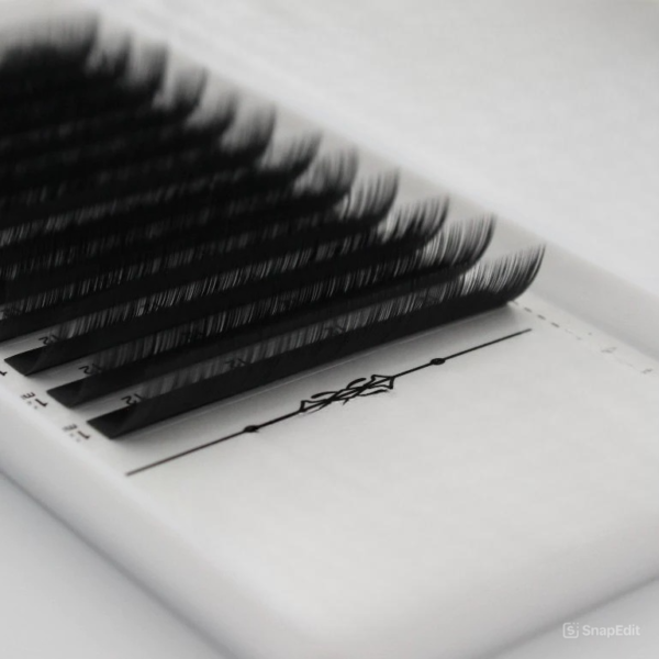 Classic/ Volume Lashes